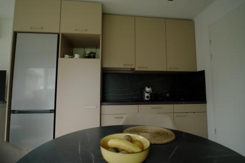 Ernesto mobiele zorgwoning in de tuin - Plaatsing Kapelle op den bos - Keuken